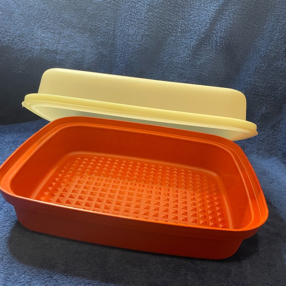 Vintage Tupperware Meat Tenderizer Marinade Container Paprika XL